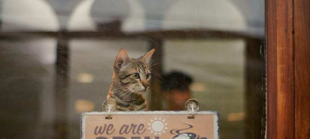 Session de révision étudiant.es