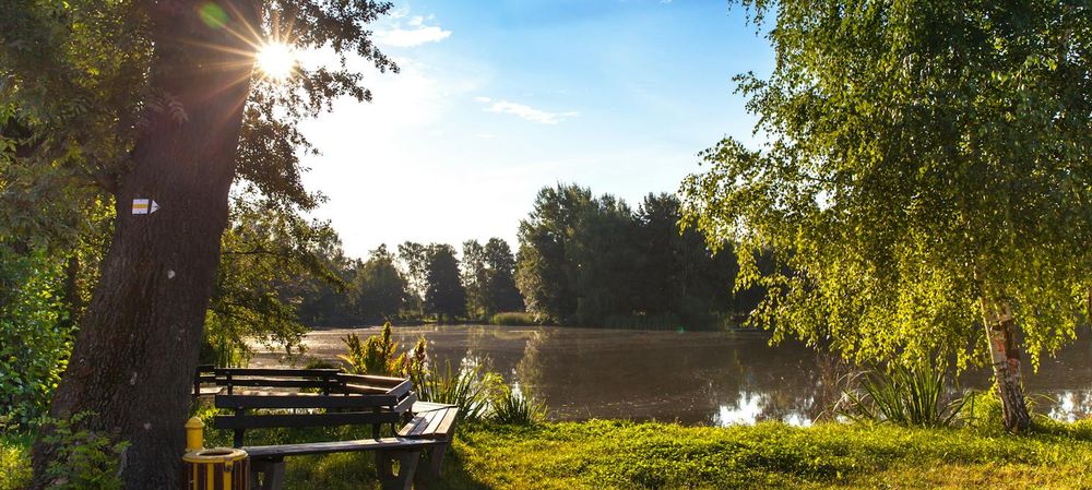 Pique nique + loups garous et jeux (Parc)