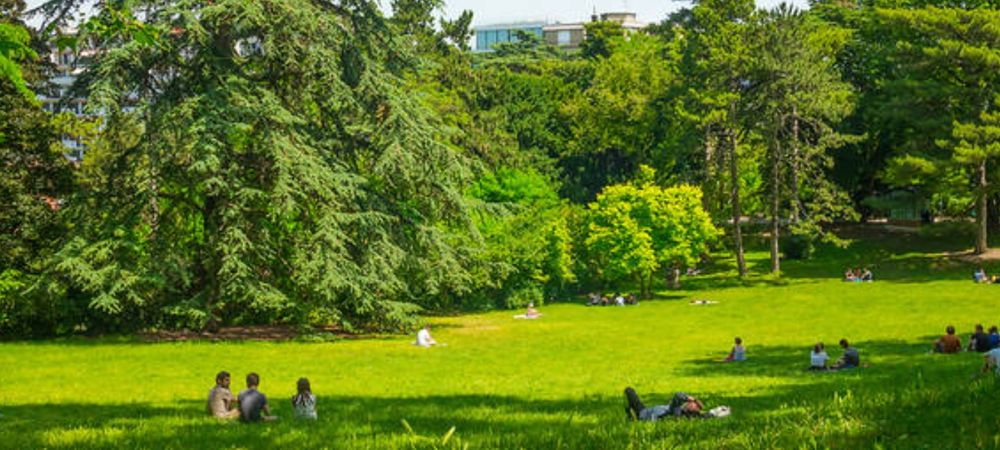 Molkky et jeux de société #7