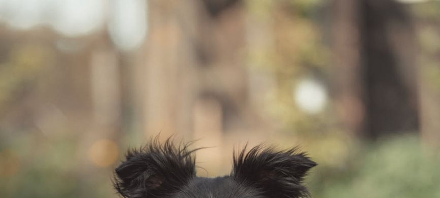 Les mardis de l'impro féministe. Thème: Paroles, paroles