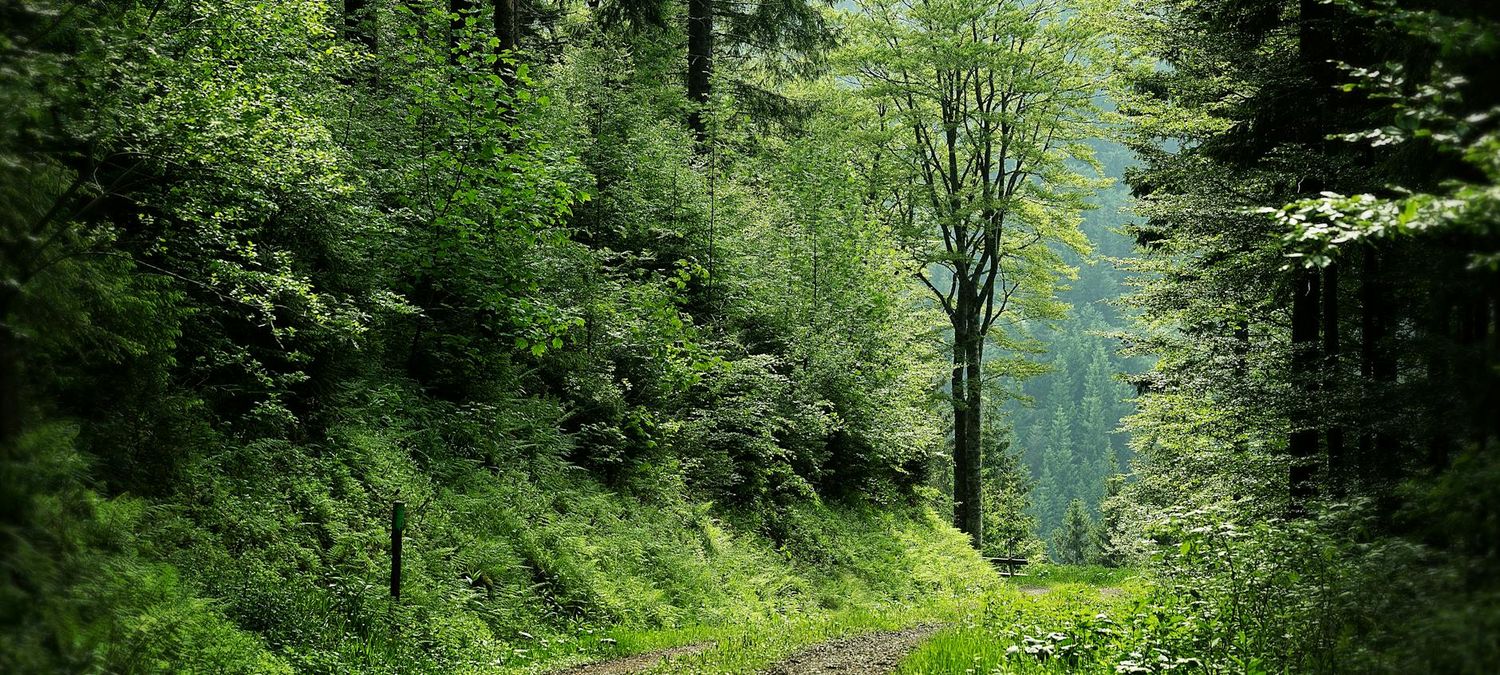 Journée Rando (Vallée des Chevreuses)