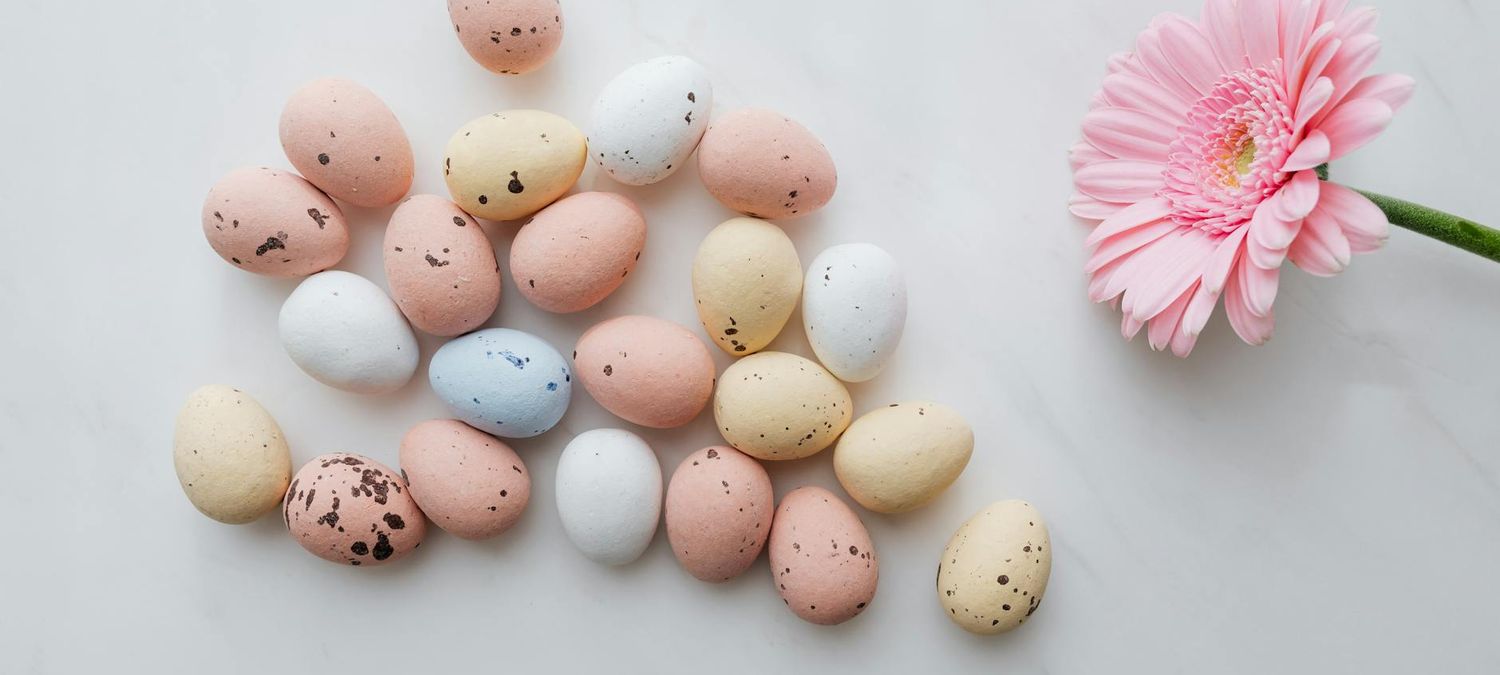 Chasse aux oeufs 🐇