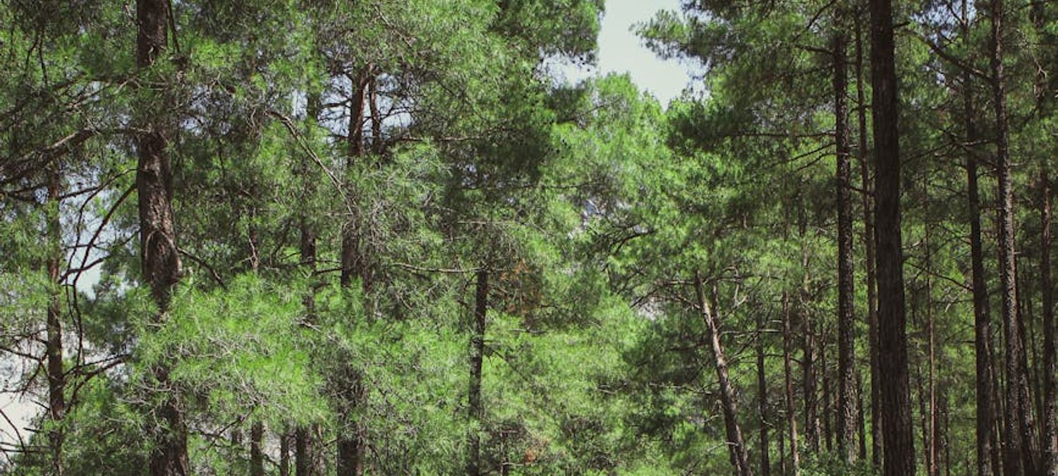 Groupe pour randonnées, falos, vacances