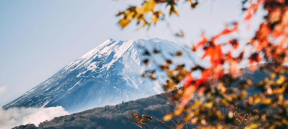 Festival Rhoazon Japon