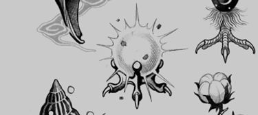 🖋️ FLASH TATTOO NIGHT