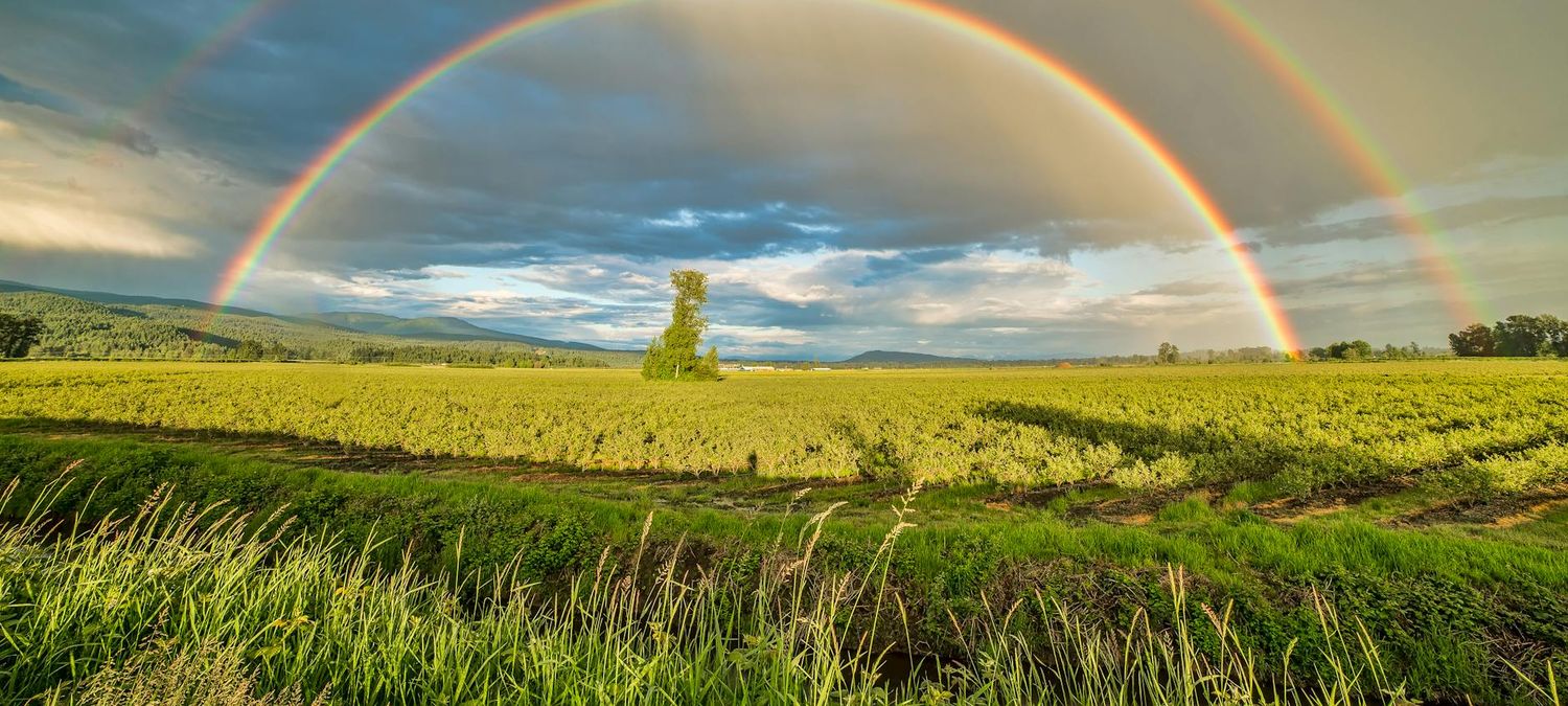 Venir avec moi à la gay pride de troyes