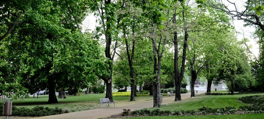 Goûter entre filles parc gayeulles