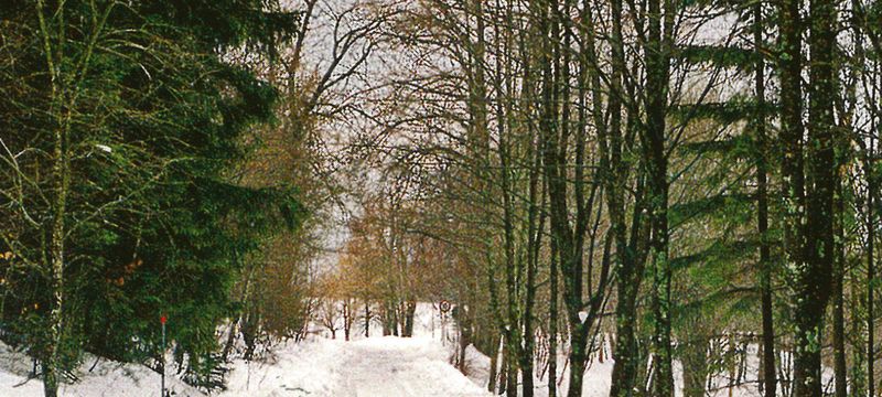 Antisémitisme (Mark Mazower)