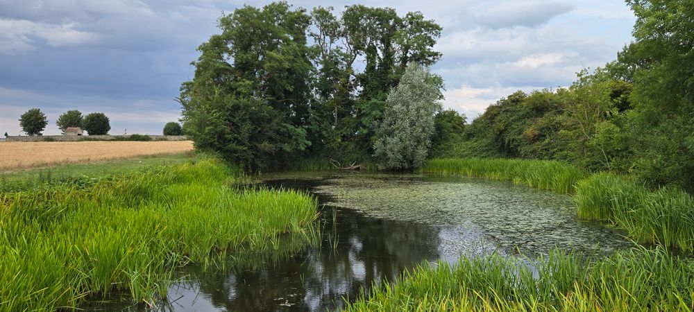 Randonnée musicale entre Auvers et Hérouville