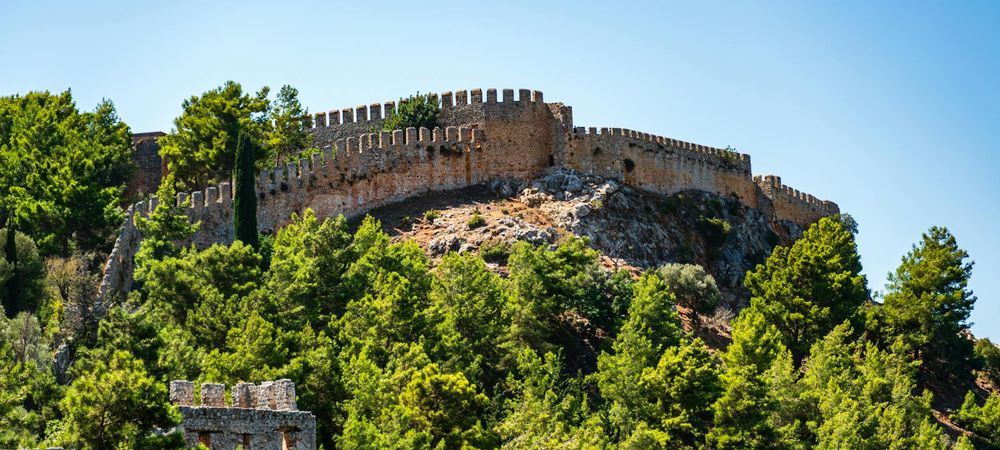 Soirée Jeux de Rôles Débutant.es 🦚💸