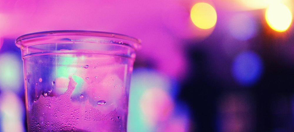 Groupe restreint et solo Rosa Bonheur