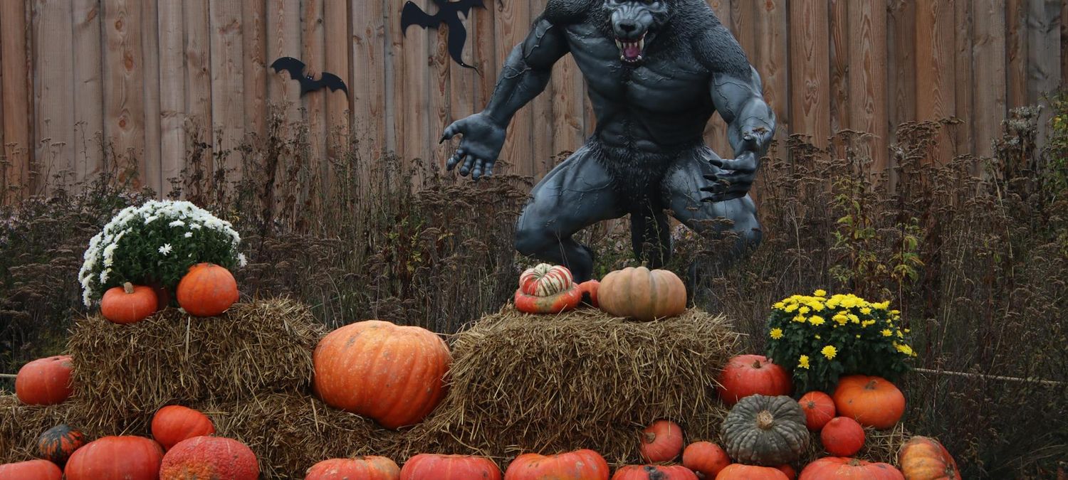 Soirée loup garou méchant Disney