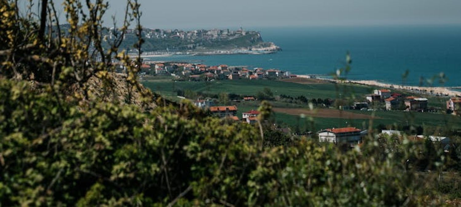 Open air afro caribéen