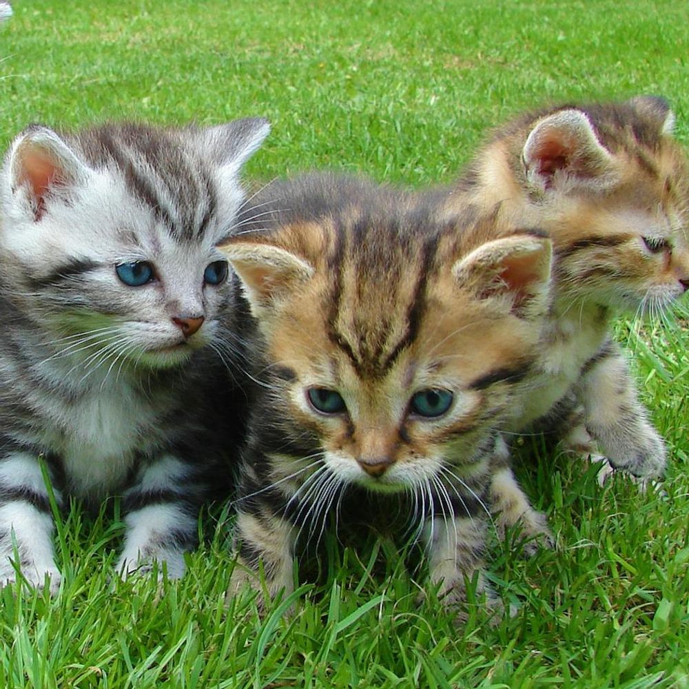 Bannière du groupe Paris / Val de marne