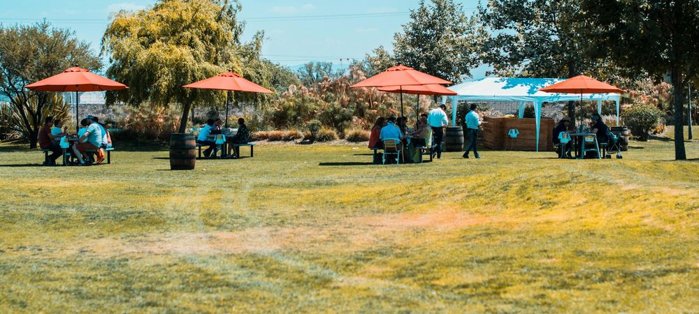 Pique-nique/jeux de cartes/rigolade