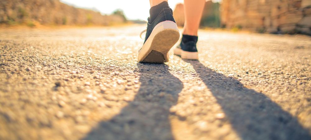 Petite promenade autour du parc de la ramée