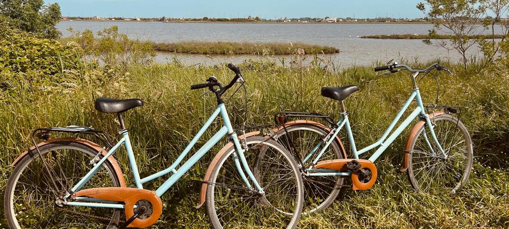 Balade à vélo - Miribel