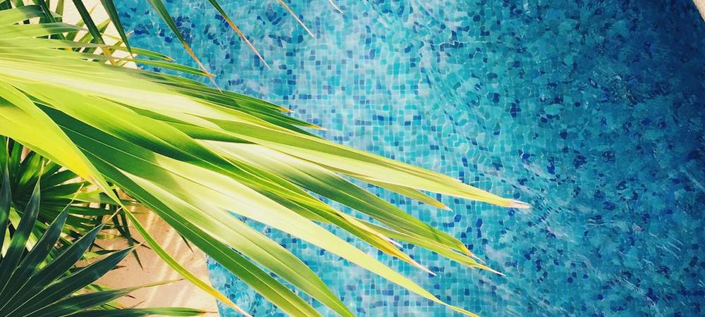 Piscine resto un samedi de juillet :-)