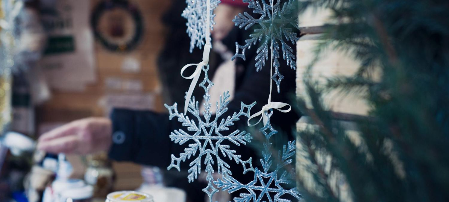 Sortie au marché de Noël
