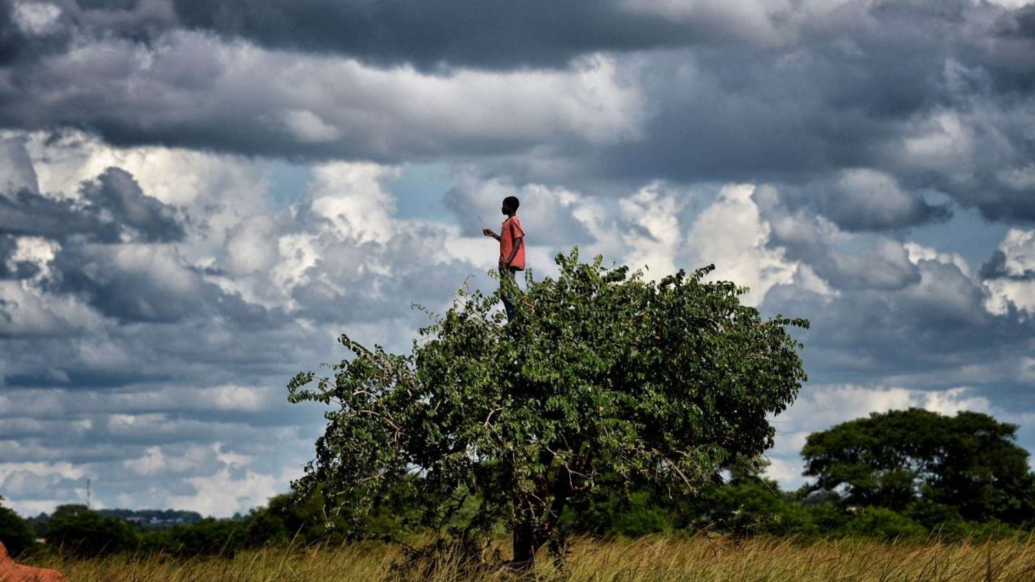 LE PRINTEMPS DES POÈTES