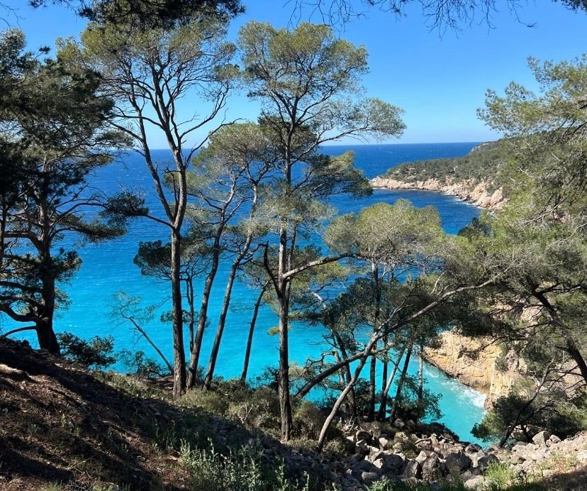 Randonnée - Le sentier du littoral de Bandol à Saint-Cyr - Sortie 1