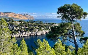 Rando - Port-Pin, Port-Miou et ravin de Gorgue Longue - sortie 2