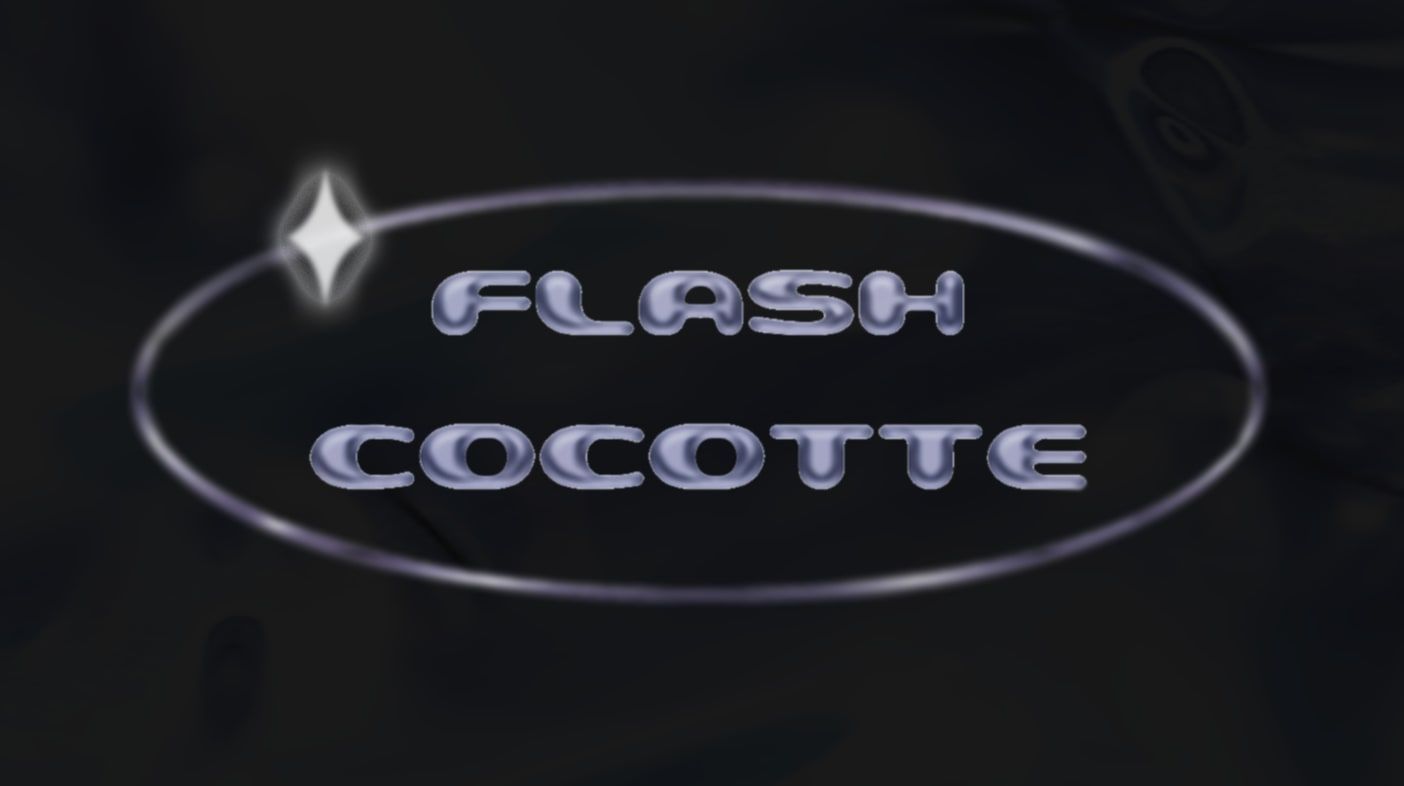 Flash Cocotte