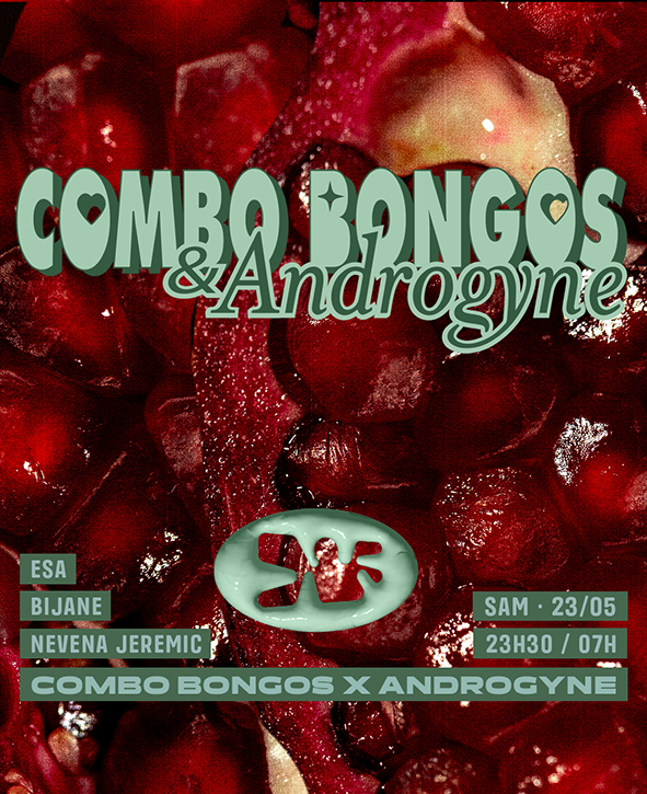 COMBO BONGOS